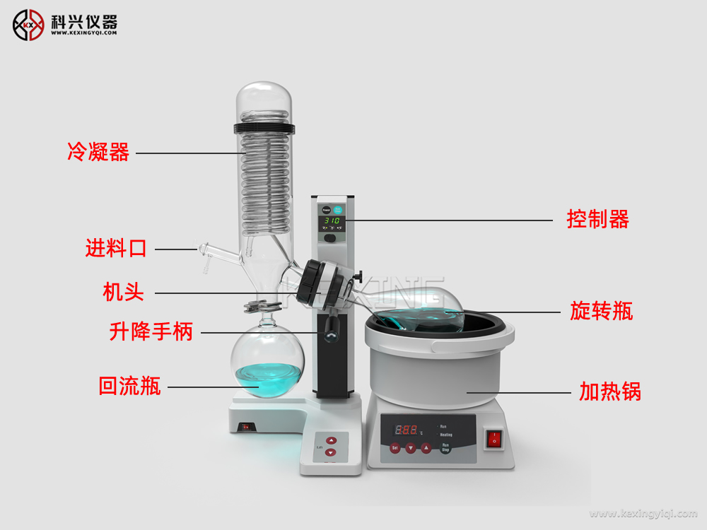 正面